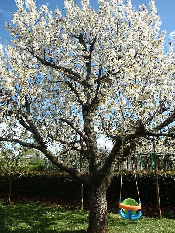 Apartmani Villa Otilija 포레치 아파트